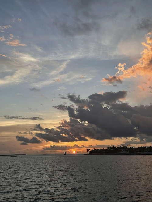 MIA_2023-08-12 20-01-32_DANI_IMG_5241